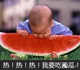 西瓜视频吃瓜在线观看,吃瓜在线，畅享欢乐时光