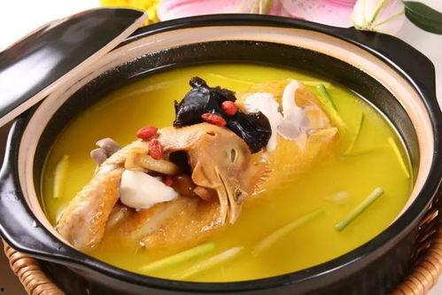 幼犬可以吃淡瓜汤吗视频,营养与安全的完美结合 幼犬可以吃淡瓜汤吗视频,营养与安全的完美结合