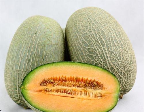 蜘蛛侠吃哈密瓜视频大全,哈密瓜视频大全趣味盘点 蜘蛛侠吃哈密瓜视频大全,哈密瓜视频大全趣味盘点