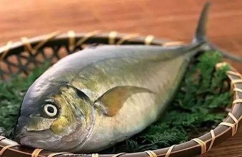 买鱼吃瓜的视频大全,趣味视频大全，轻松一笑尽在其中