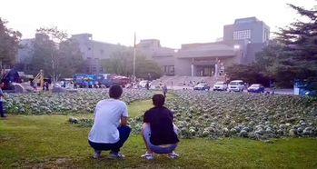 河北美院吃瓜事件视频,一场校园风波引发的舆论漩涡